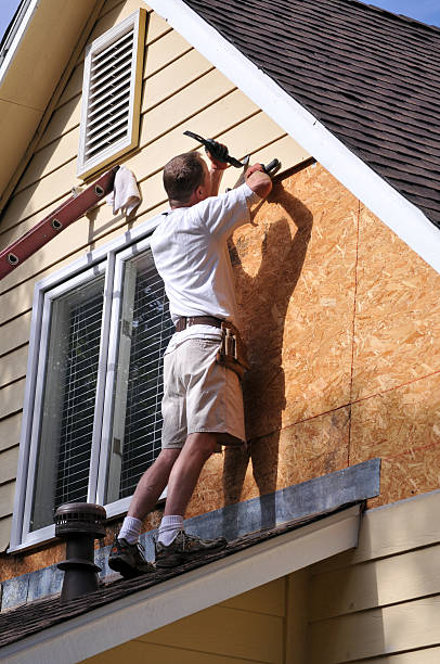 Best Siding Painting and Refinishing  in Palo, IA